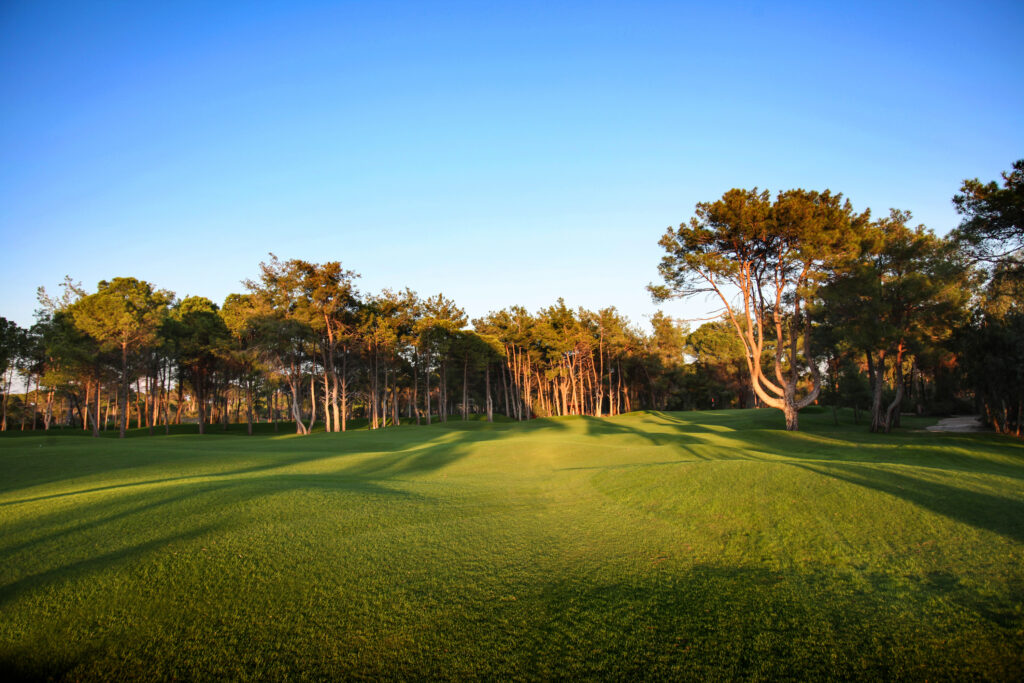 Sueno Pines