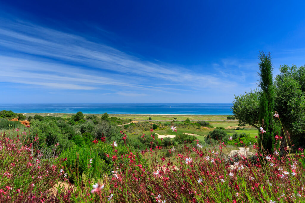 golf course and flowers